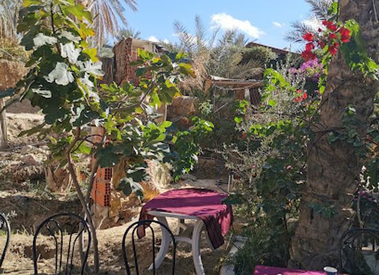 tunisia/the-djerid/restaurant/diari-tamerza