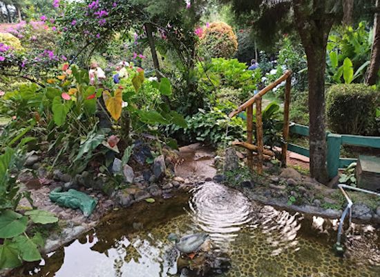 el-salvador/western-region/restaurant/entre-nubes