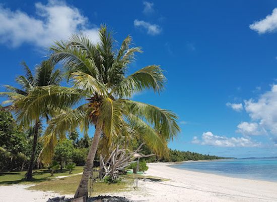 marshall-islands/majuro-atoll/restaurant/alliang