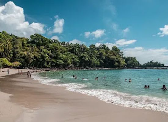 costa-rica/manuel-antonio-national-park/restaurant/casa-planta-restaurant