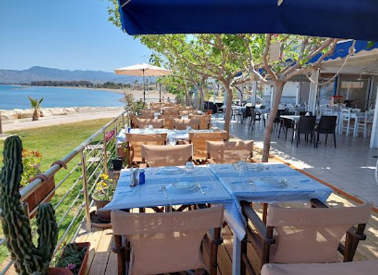 cyprus/latchi-beach/restaurant/psaropoulos-fish-tavern