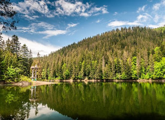 ukraine/synevyr-national-park/restaurant/synevyr