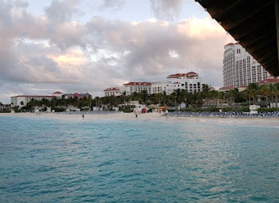 the-bahamas/berry-islands/restaurant/the-swimming-pig-gastropub