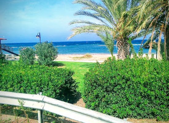 cyprus/akamas-peninsula-national-park/restaurant/molos-restaurant