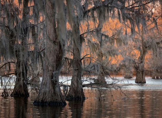 louisiana/caddo-lake/restaurant/caddo-lake