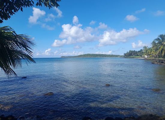 nicaragua/corn-islands/restaurant/caribbean-wave