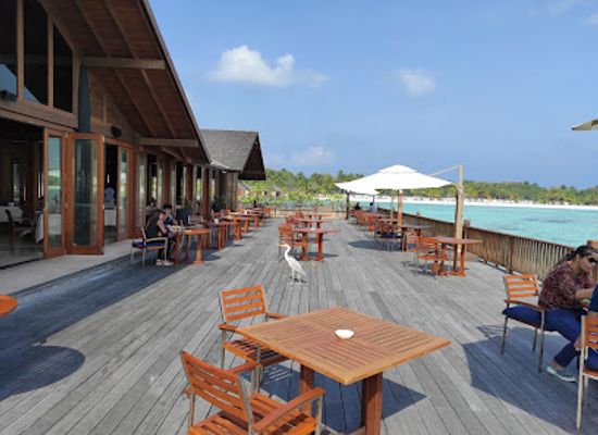 maldives/kaafu-atoll/restaurant/the-lagoon-restaurant