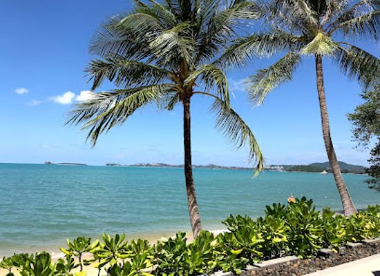 thailand/samui-archipelago/restaurant/it-s-all-about-taste