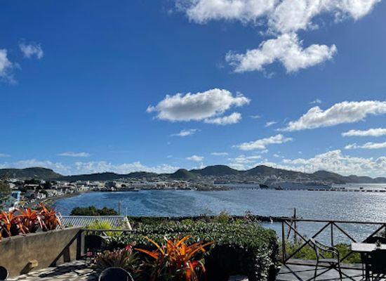 saint-kitts-and-nevis/saint-james-windward-parish/restaurant/palms-court-gardens