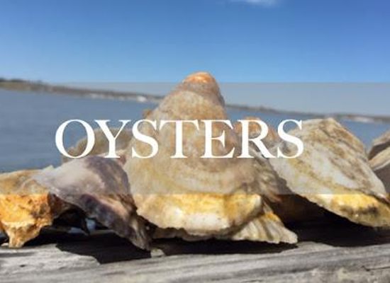 new-york/long-island/restaurant/southold-bay-oysters