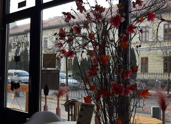 romania/harghita/restaurant/healthy-kitchen-csikszereda