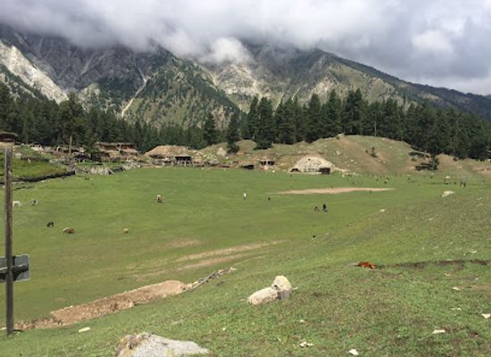 pakistan/fairy-meadows/restaurant/shangrila-fairy-meadow-resort