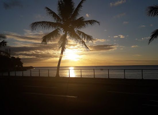 new-caledonia/baie-des-citrons/restaurant/la-gavotte