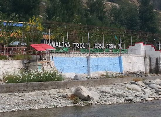 pakistan/swat/restaurant/himalaya-trout-fish-farm-and-restaurant