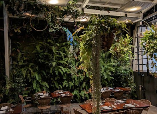 costa-rica/central-valley/restaurant/restaurante-silvestre