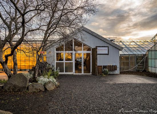 iceland/north-iceland/restaurant/frioheimar