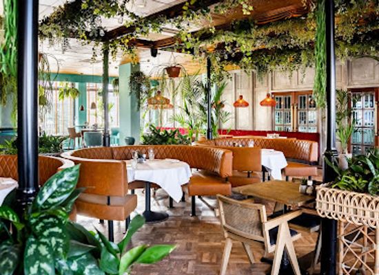 netherlands/arnhem/restaurant/locals