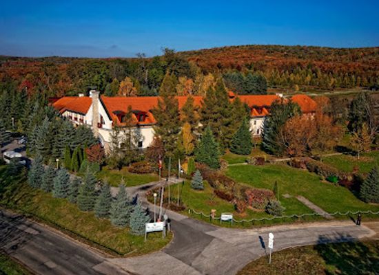 hungary/bakony/restaurant/hotel-szarvaskut-wellness-es-konferencia-kemences-etterem