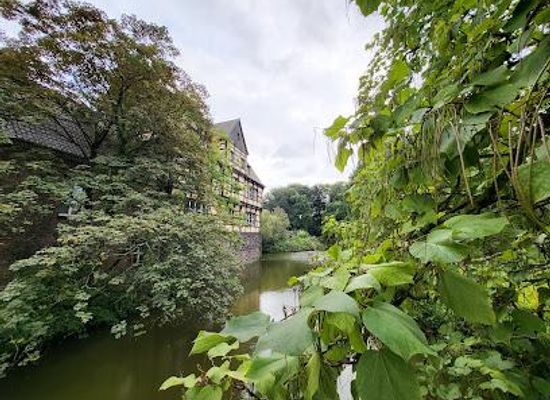 germany/essen/restaurant/restaurant-wasserschloss-wittringen