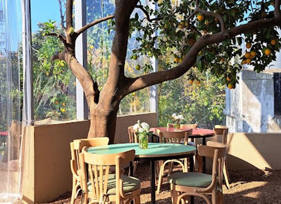 lebanon/zgharta/restaurant/matbakh-georgina