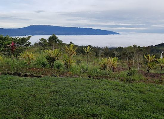 papua-new-guinea/western-highlands/restaurant/mount-hagen-market