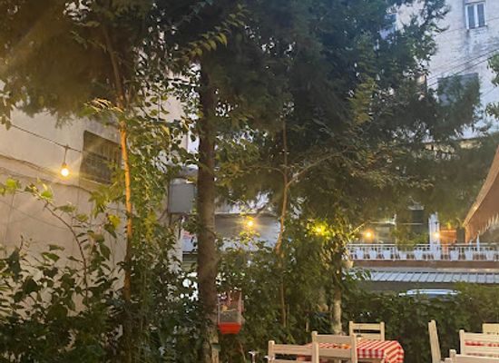 albania/central-albania/restaurant/restaurant-metropol-traditional-albanian-and-italian-food