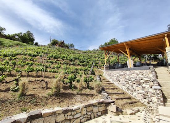 hungary/tokaj-wine-region/restaurant/ungvari-s-bistro