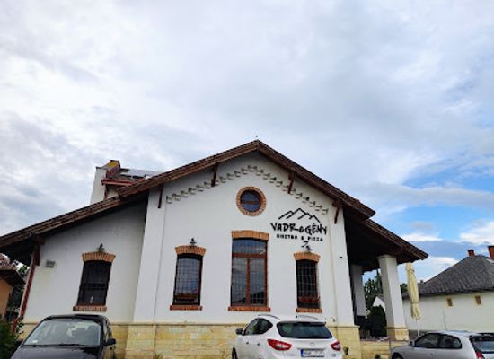 hungary/zemplen-mountains/restaurant/vadregeny-bisztro-pizza