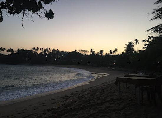 sri-lanka/southern-province/restaurant/turtle-landing-restaurant