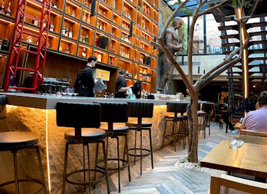 albania/luma/restaurant/salt-tirana