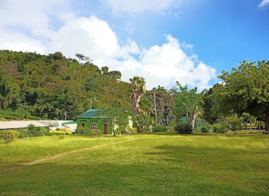 dominica/dominica-botanic-gardens/restaurant/botanical-gardens-gazebo