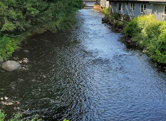 new-hampshire/monadnock-region/restaurant/waterhouse-restaurant