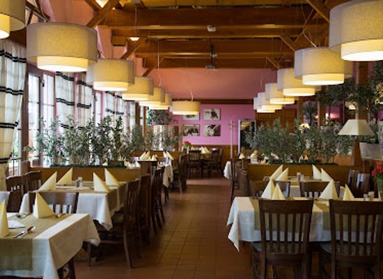 czechia/hradec-kralove/restaurant/restaurant-a-penzion-grill-duran