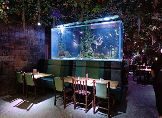 malta/central-region/restaurant/rainforest-cafe