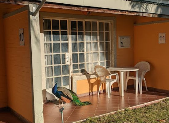namibia/kavango-east/restaurant/omashare-hotel