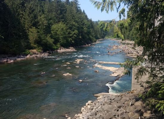 washington/mount-baker-snoqualmie-national-forest/restaurant/snoqualmie-falls-brewery