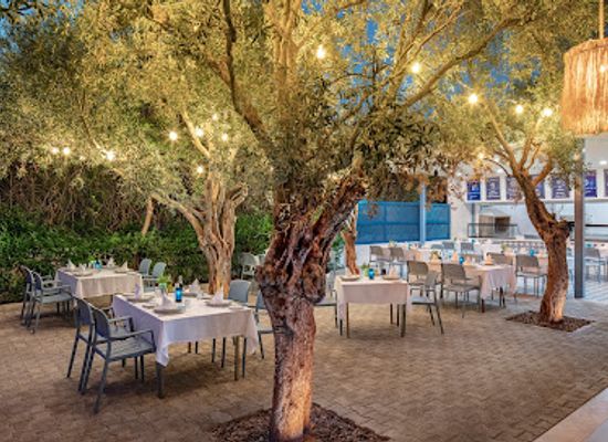 turkiye/paphlagonia/restaurant/myhn