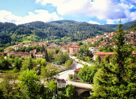 bulgaria/rhodope-mountains/restaurant/devin-spa-hotel-devin-spa-hotel