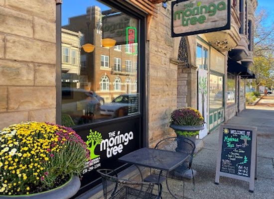 indiana/elkhart/restaurant/the-moringa-tree-organic-kitchen-wellness-studio