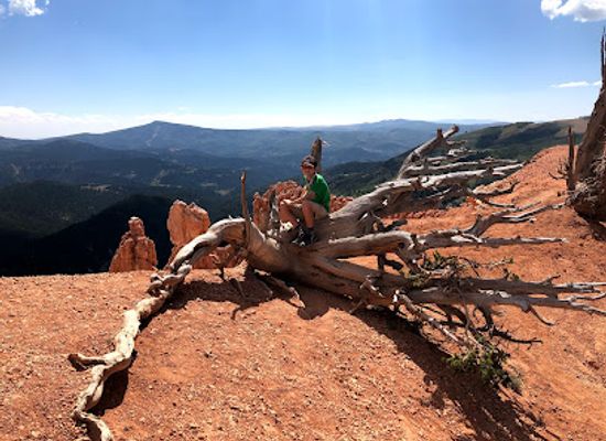 utah/escalante-desert/restaurant/costa-vida