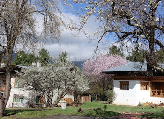 bhutan/bumthang-valley/restaurant/swiss-guest-house-restaurant