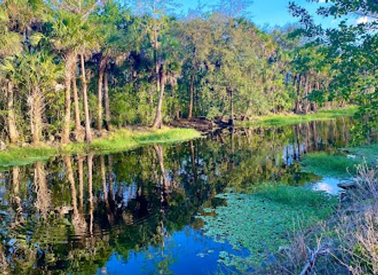 florida/big-cypress-national-preserve/restaurant/florida-panther-national-wildlife-refuge