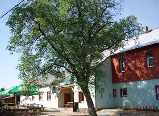 czechia/cesky-raj/restaurant/penzion-slunecno