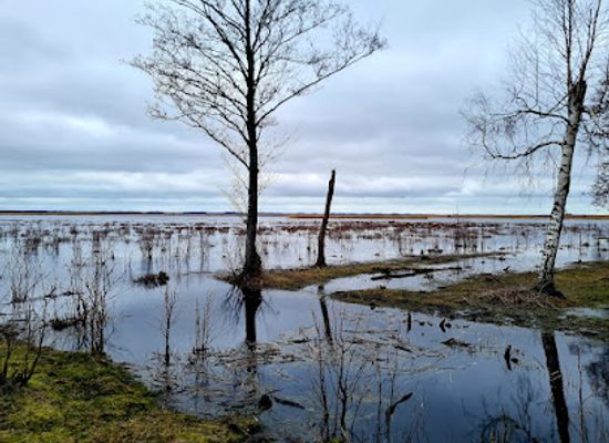 latvia/pape-nature-reserve/restaurant/pape-nature-park