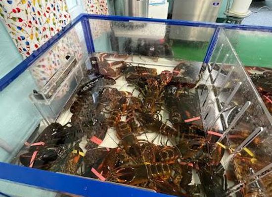 maine/bar-harbor/restaurant/parsons-lobsters