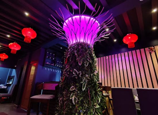 india/agartala/restaurant/dasuan-a-multi-cuisine-restaurant