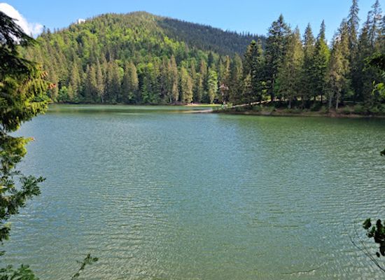 ukraine/synevyr-national-park/restaurant/synevyr-national-park
