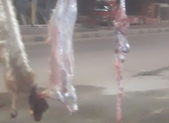 jordan/azraq/restaurant/matam-wa-istirahat-al-furat