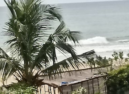 senegal/cap-skirring/restaurant/mansa-lodge-maison-et-table-d-hotes