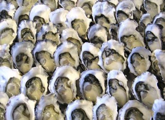 australia/tasmania/restaurant/get-shucked
